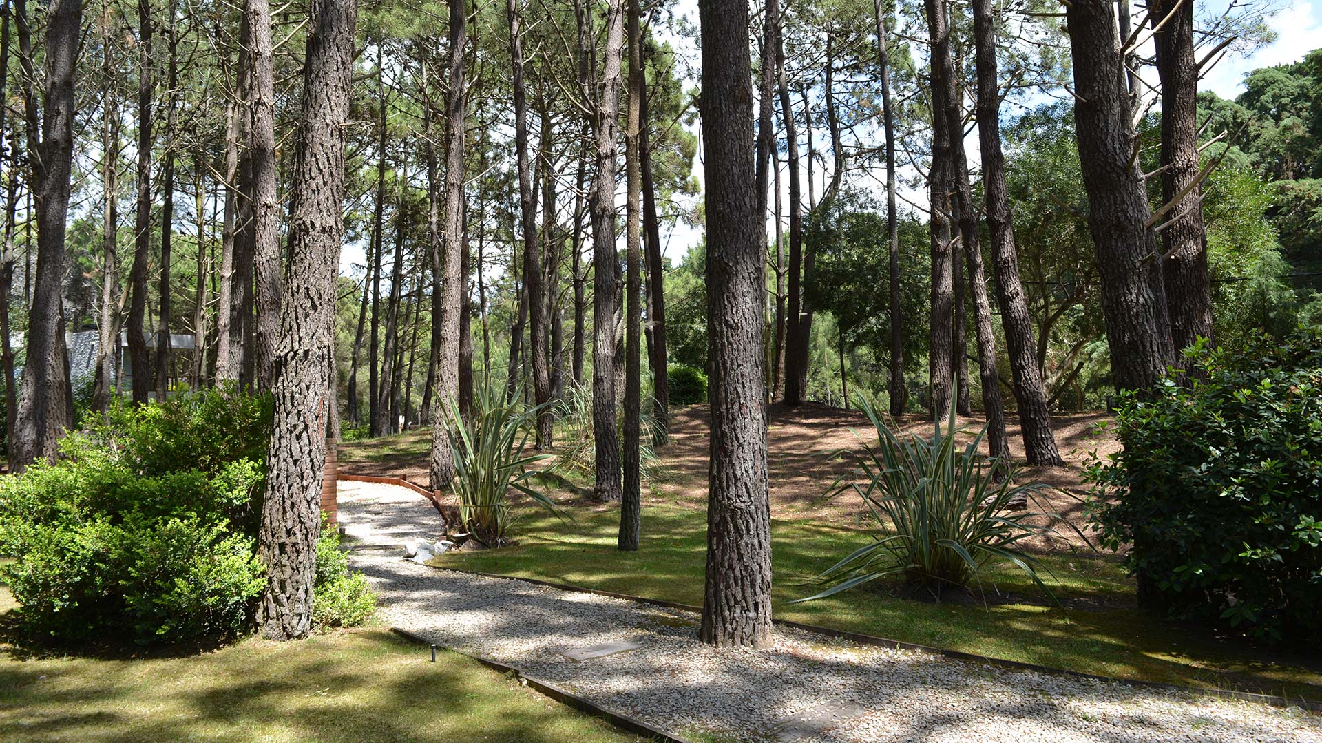 Camino Ingreso La Serena de las Pampas